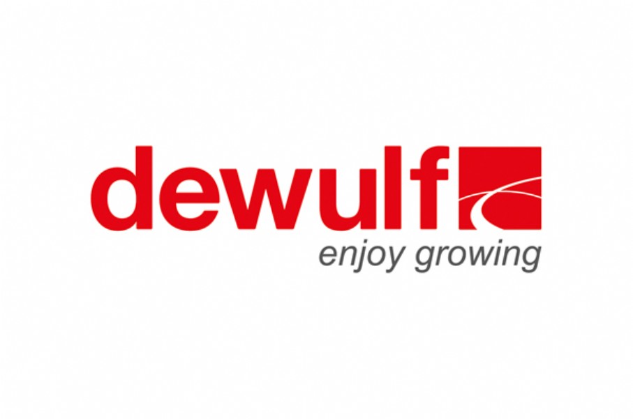 Dewulf